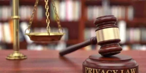 Defending Your Business in the Digital Age with Cyber, Data, and Privacy Law