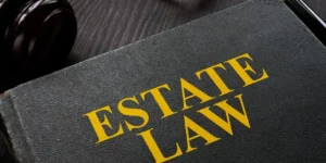 How Estate Planning Lawyers Sydney Can Safeguard Your Family’s Future